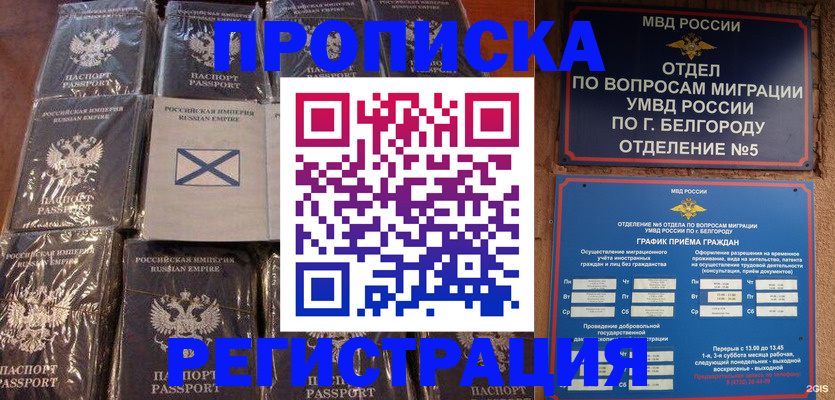 прописка гарантия в Суздали